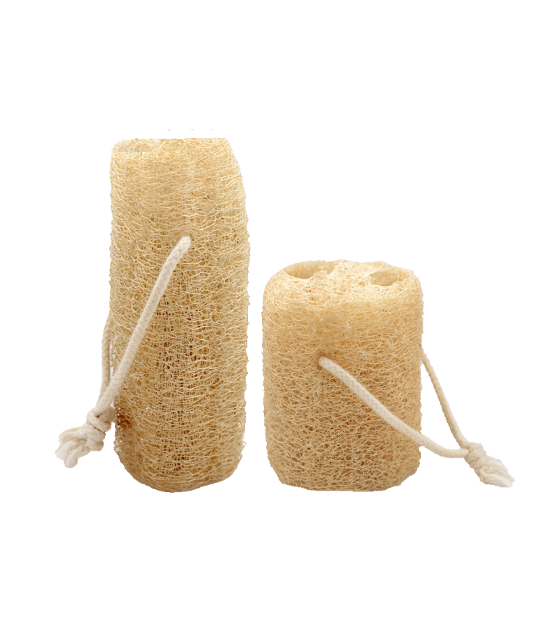 luffa esponjas vegetales naturales para el cuerpo