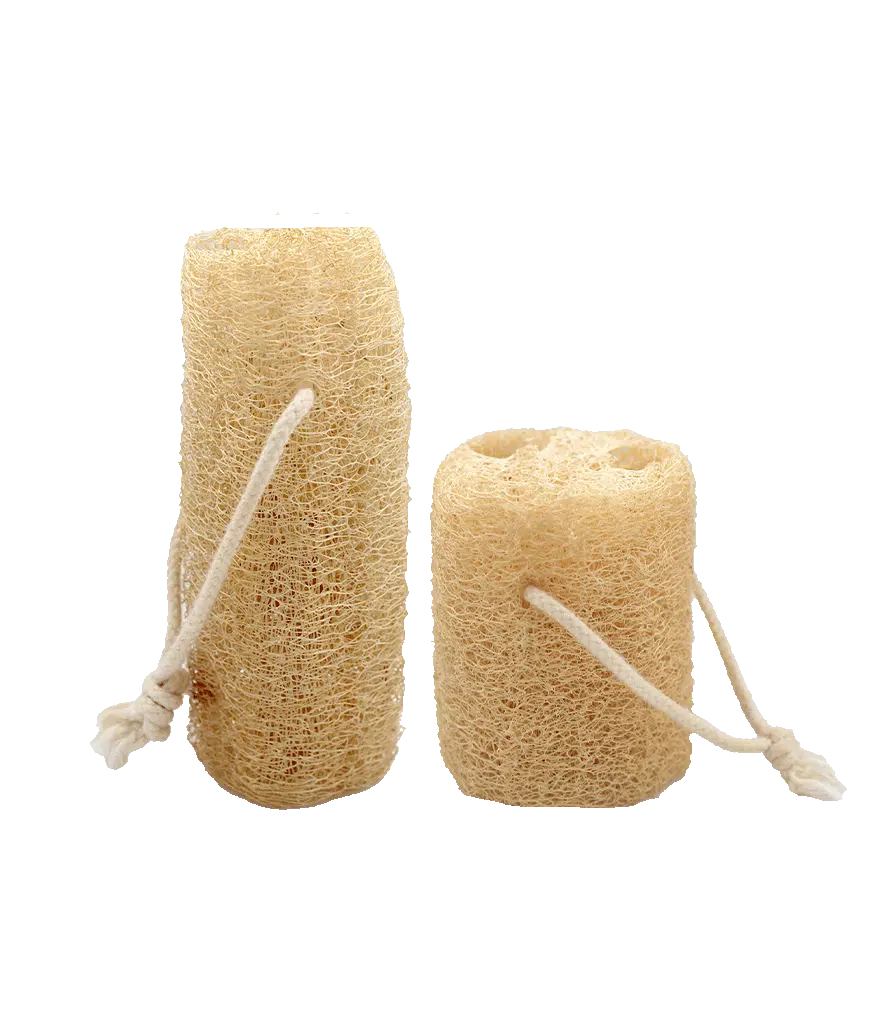 luffa esponjas vegetales naturales para el cuerpo