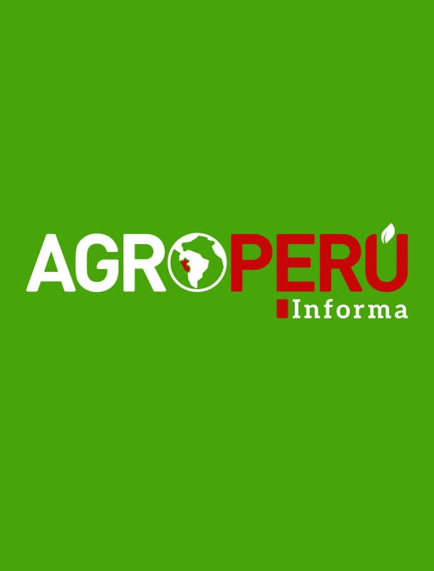 Elemento de prensa